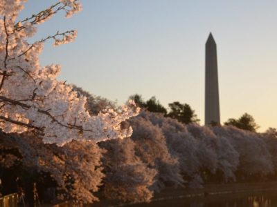 50 by 2050 newsletter washington dc