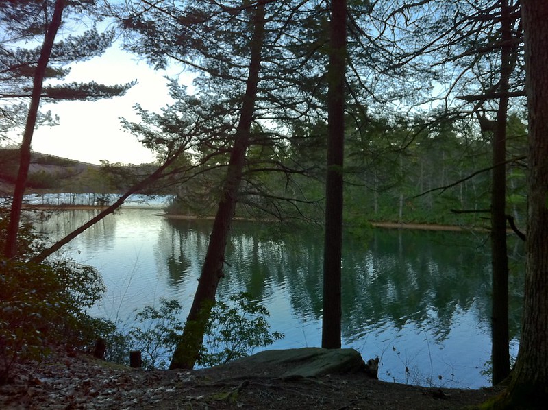 View of a pond in Bigelow Hollow State Park in Union, Connecticut. Trees are reflected on the water's surface and there is a bright sky.