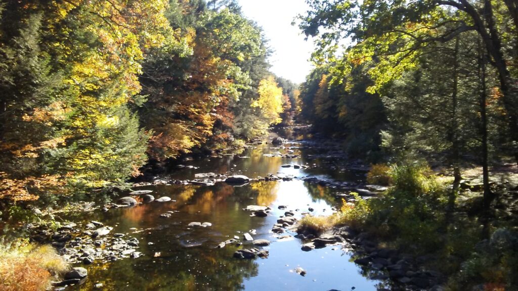 A tranquil creek in Natchuag State Forest on a bright day with green and orange trees